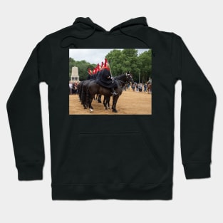 Changing of the Guards 2 Hoodie